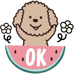[LINEスタンプ] トイプー♡ずっと使える夏