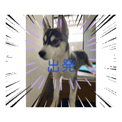 [LINEスタンプ] ふく ふく fetchpriority=high