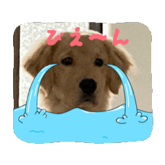 [LINEスタンプ] 癒しのいっぬっ fetchpriority=high