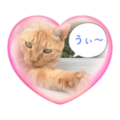 [LINEスタンプ] きなことなな