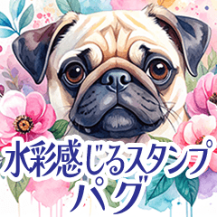 [LINEスタンプ] 水彩感じるパグスタンプ