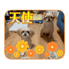 [LINEスタンプ] 動く！ここさんまろさん時々くろさん 