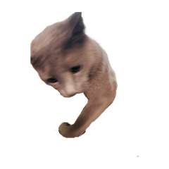 [LINEスタンプ] うちの猫(ロシアンブルー)3