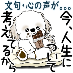 [LINEスタンプ] シーズー犬 2025 「文句と心の声」