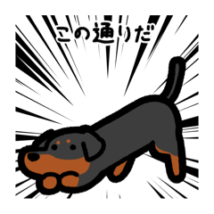 [LINEスタンプ] いつでも使えるダックス（黒タン）