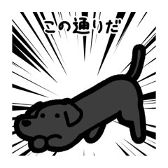 [LINEスタンプ] いつでも使えるダックス（黒）