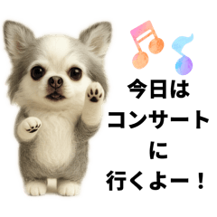 [LINEスタンプ] 動物のシンプルスタンプ（ライブ等観戦編）