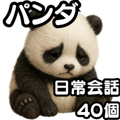 [LINEスタンプ] 日常会話verパンダ