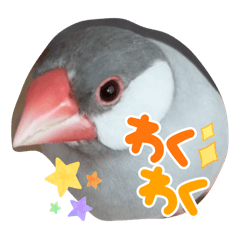 [LINEスタンプ] ～ひとみの日常①～