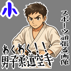 [LINEスタンプ] 柔道 空手 男子 部活 スポーツ 面白い (小)
