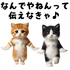 [LINEスタンプ] 関西弁♡エッホエッホネコたちにゃんだふる