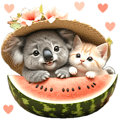 [LINEスタンプ] 夏 猛暑 酷暑♡コアラとネコ