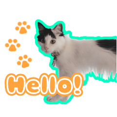 [LINEスタンプ] みこちゃんです～その2～