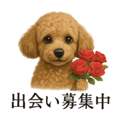 [LINEスタンプ] 恋するトイプードルの本音スタンプ