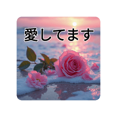 [LINEスタンプ] 薔薇と海. 花言葉. Roses and the Sea