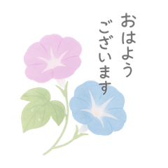 [LINEスタンプ] 夏・しっとりご挨拶 たくさん使えます