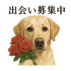 [LINEスタンプ] 恋するラブラドールレトリバーの本音