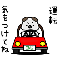 [LINEスタンプ] 全力いぬのずっと使える思いやりの心編