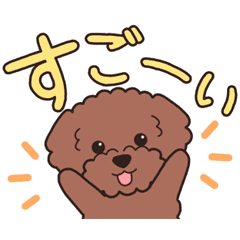 [LINEスタンプ] 『トイプードル』毎日使えるデカ文字．1