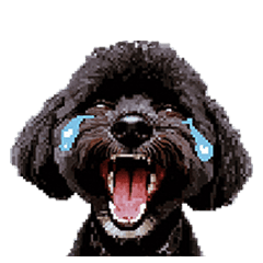 [LINEスタンプ] 言葉なしで伝える黒トイプードル チワワ