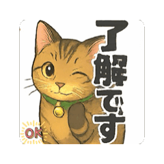 [LINEスタンプ] 大豆ちゃん猫スタンプ
