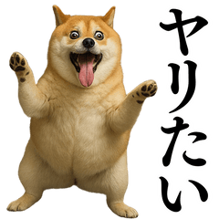[LINEスタンプ] ガンギマリの柴犬＠エロ・日常会話