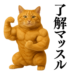 [LINEスタンプ] セクシー・煽る・爆笑＠日常会話で使える猫