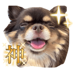 [LINEスタンプ] こうめちゃんだよ♡