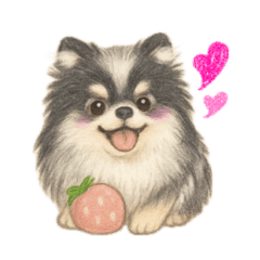 [LINEスタンプ] ポメラニアンのココちゃん✨日常✨