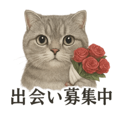 [LINEスタンプ] 【婚活】恋するスコティッシュホールド猫