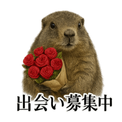 [LINEスタンプ] 【婚活】恋するマーモットのリアルなライン