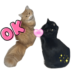 [LINEスタンプ] チョコラテ♾️