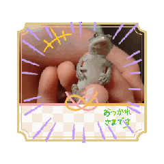 [LINEスタンプ] うちのペットさんだー 