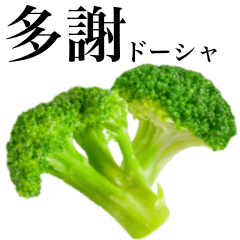 [LINEスタンプ] みずみずしいブロッコリー 【台湾語】