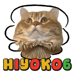[LINEスタンプ] ペルシャ猫 ひよこ スタンプ 6