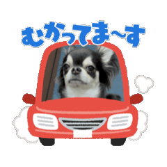 [LINEスタンプ] チクワのきもち13 