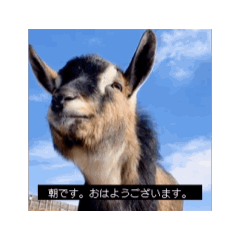 [LINEスタンプ] OH MY GOATS スタンプ 