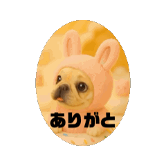 [LINEスタンプ] 動くブヒブヒなかま2