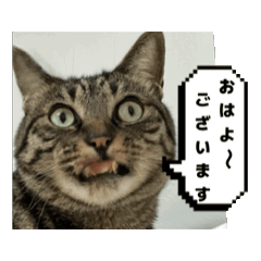 [LINEスタンプ] ハッピー＆ラッキー ⑤