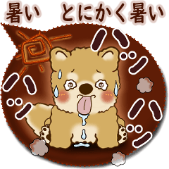 [LINEスタンプ] 柴犬さん 2025「とにかく暑い！」