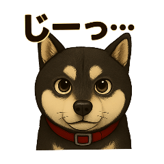 [LINEスタンプ] 黒柴ココスタンプ3