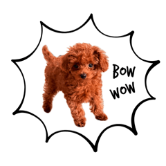 [LINEスタンプ] ぽやぽやテト