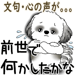 [LINEスタンプ] B＆W シーズー犬 2025 「文句と心の声」