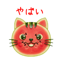 [LINEスタンプ] 夏フルーツの猫、爽やかに一言