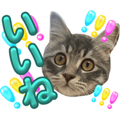 [LINEスタンプ] ルイの日常スタンプ♪♪