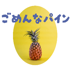 [LINEスタンプ] Shumi Photographyオリジナルスタンプの画像（メイン）