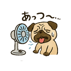 [LINEスタンプ] ブサかわパグ（夏バージョン）