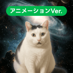[LINEスタンプ] 動く！宇宙猫