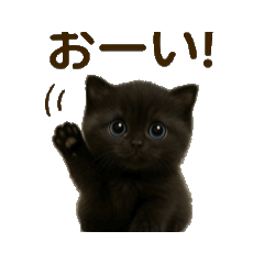 [LINEスタンプ] ねこの気持ち代弁中。 fetchpriority=high