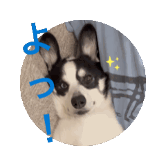 [LINEスタンプ] 動くモーイ2 fetchpriority=high